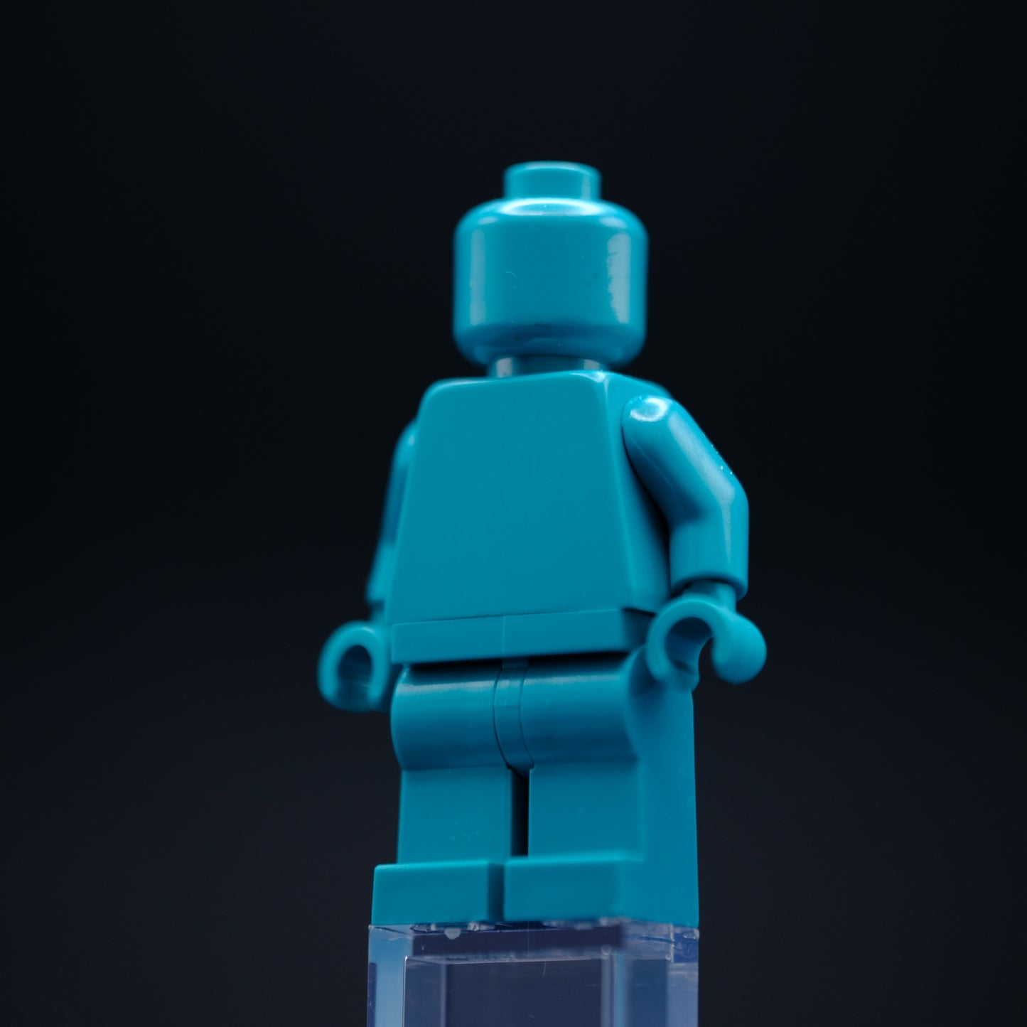 Dark Turquoise Monochrome Fig