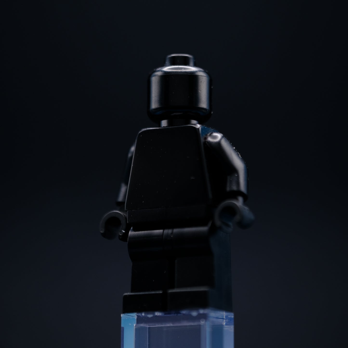 Black Monochrome Fig
