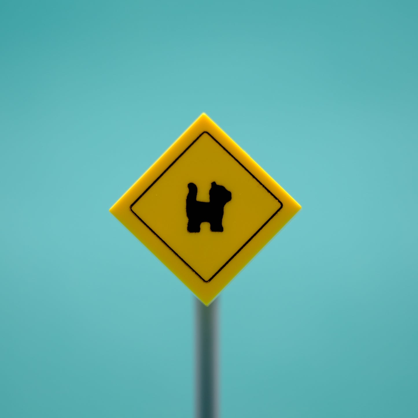 Kitten Sign