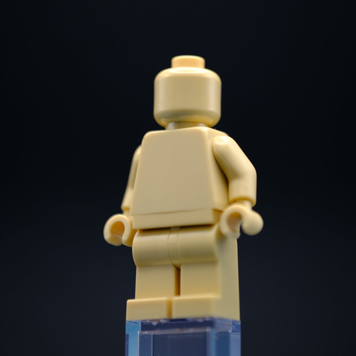 Tan Monochrome Fig