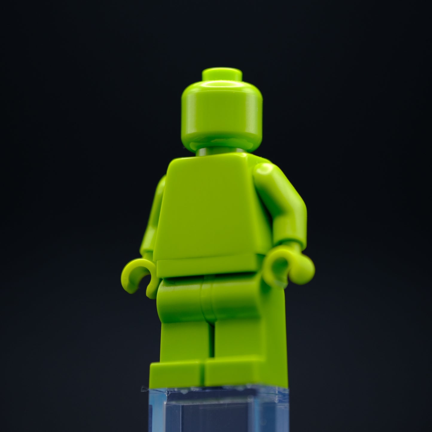 Lime Monochrome Fig