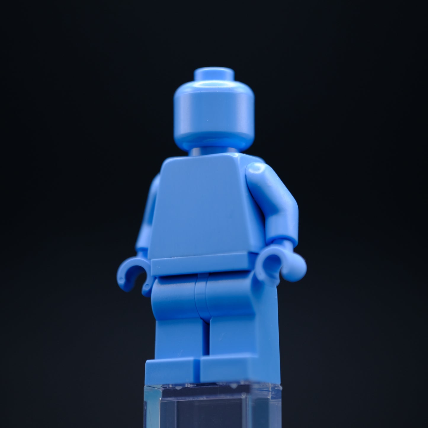 Medium Blue Monochrome Fig