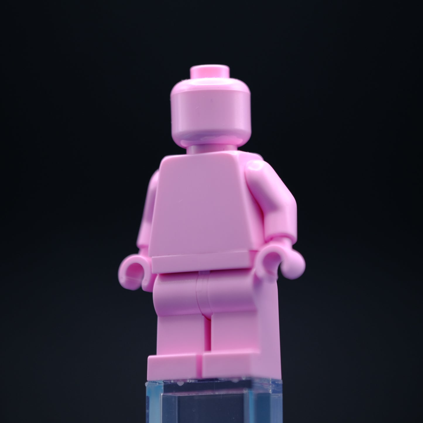Bright Pink Monochrome Fig