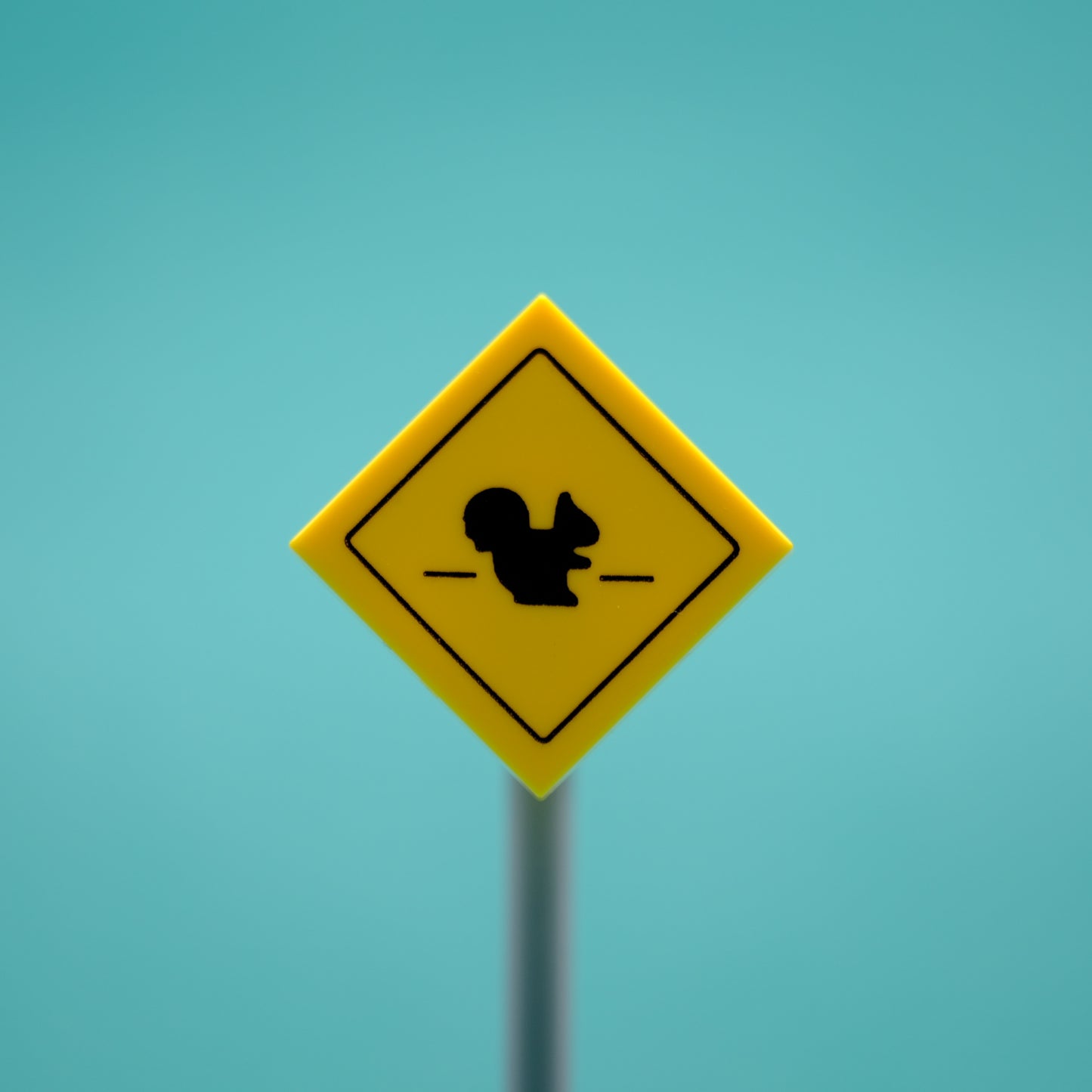 Squirrel Road Sign