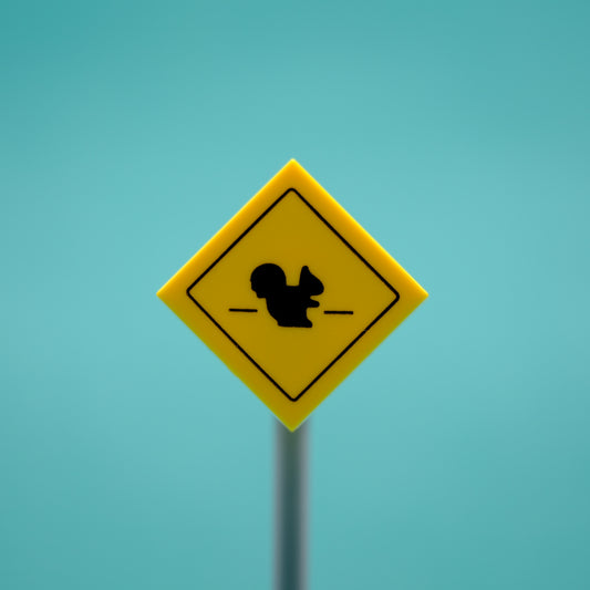 Squirrel Road Sign