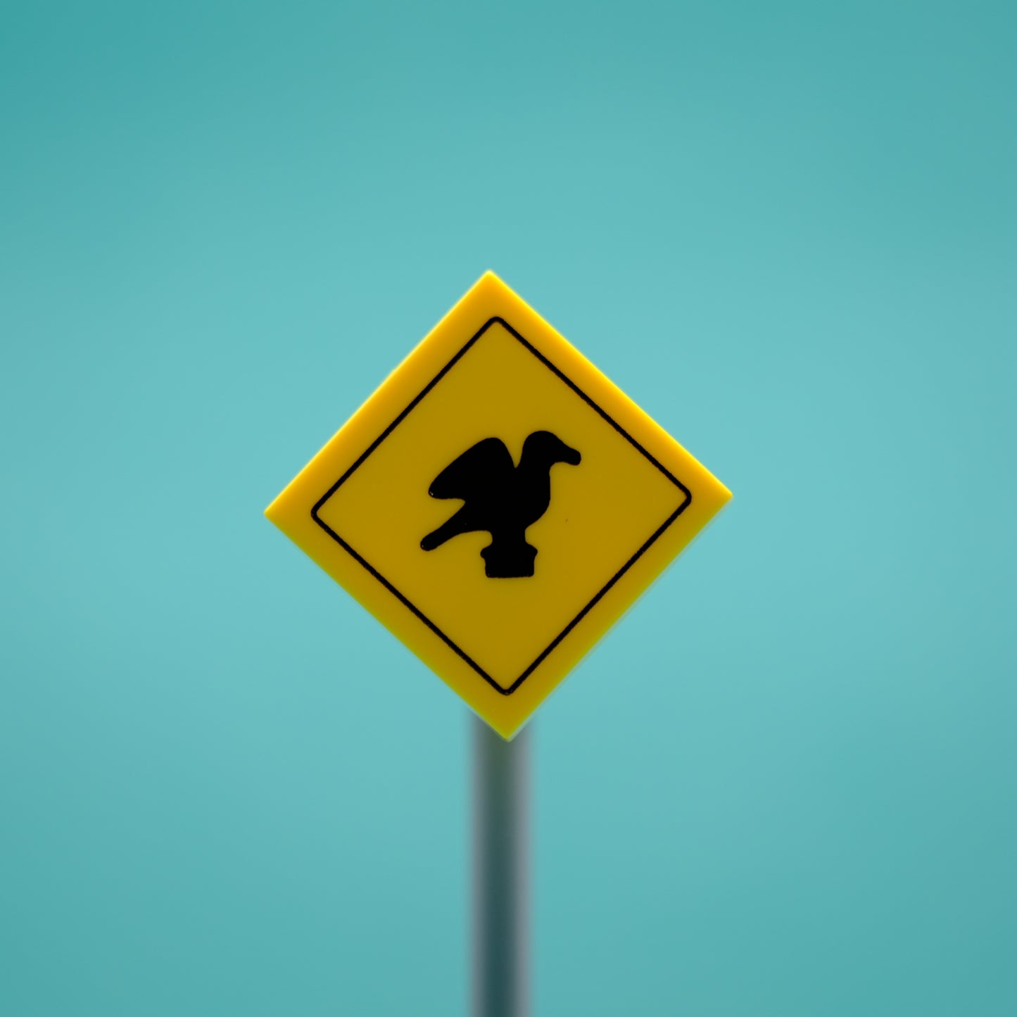 Seagull Road Sign