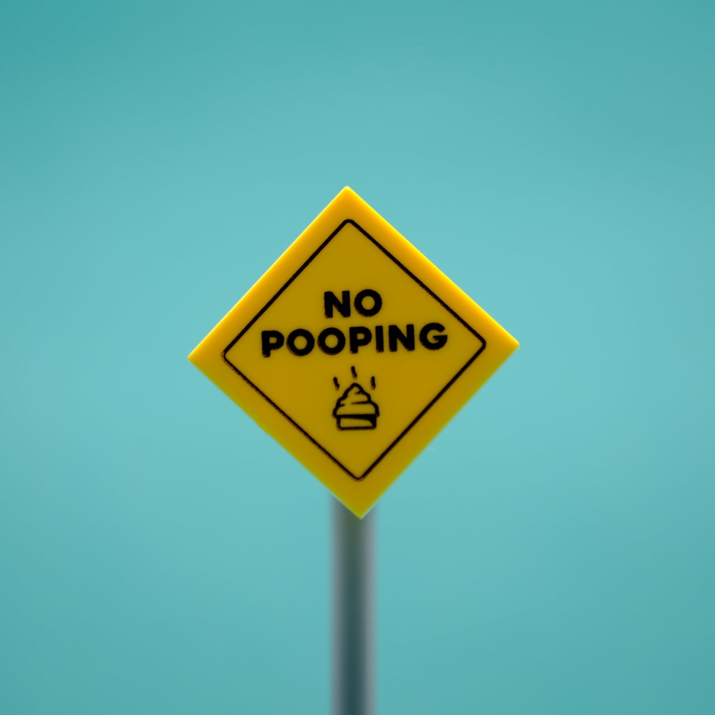 No Pooping Sign