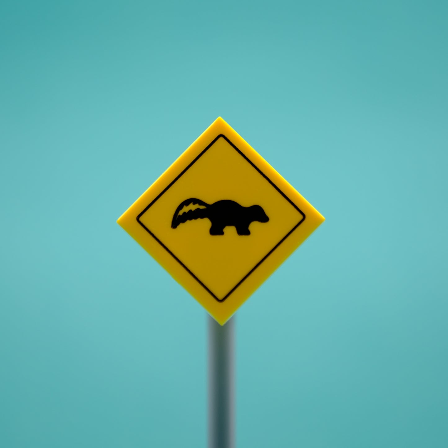 Skunk Road Sign